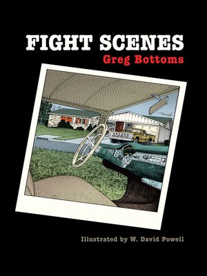 cover image of Fight Scenes